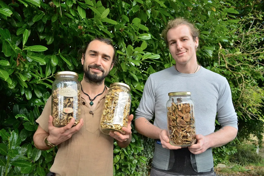 Jefferson et Xavier, producteurs de champignons bios